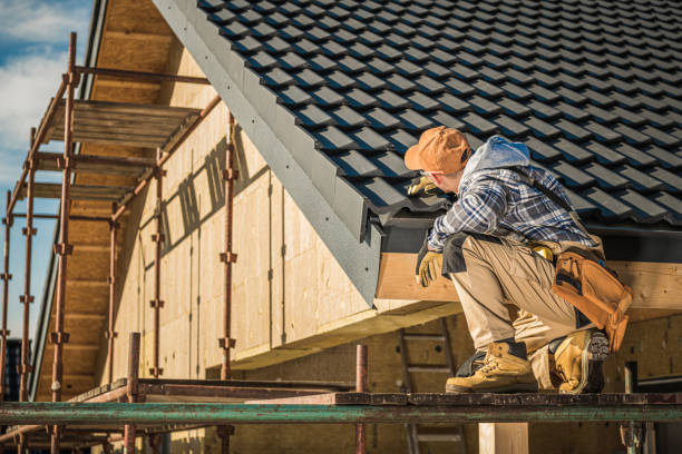 Best Asphalt Shingles Roofing  in Millbury, OH